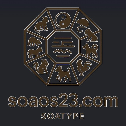 Soatype